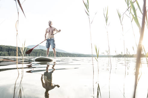 Tourist ohne Hemd beim Stand Up Paddleboarding am Staffelsee in Murnau, Bayern, Deutschland - WFF00665