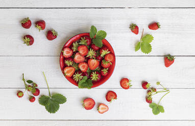 Studioaufnahme einer Schüssel mit reifen, frisch gepflückten Erdbeeren - GWF07298