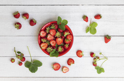 Studioaufnahme einer Schüssel mit reifen, frisch gepflückten Erdbeeren - GWF07298