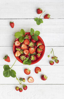 Studioaufnahme einer Schüssel mit reifen, frisch gepflückten Erdbeeren - GWF07299