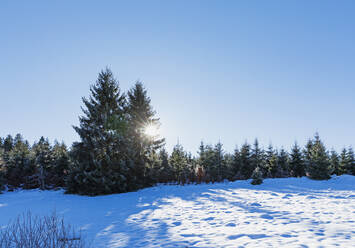 Verschneite Landschaft im Naturschutzgebiet Perlenbach-Fuhrtsbachtal an einem sonnigen Tag - GWF07300