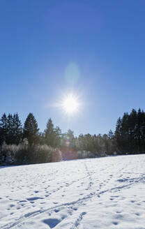 Verschneite Landschaft im Naturschutzgebiet Perlenbach-Fuhrtsbachtal an einem sonnigen Tag - GWF07302