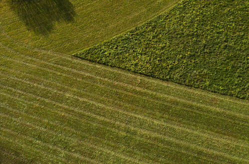 Drohnenansicht eines grün gemähten Feldes - WWF06061
