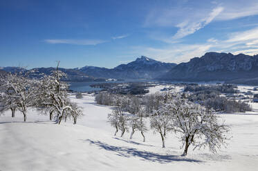 Austria, Upper Austria, Mondsee, Snowy landscape of Salzkammergut with Schafberg and Drachenwand mountains in background - WWF06067