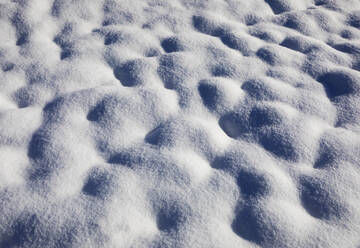 Vollbild des schneebedeckten Geländes - WWF06072