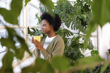 Nachdenkliche Frau trinkt Kaffee bei Pflanzen zu Hause - VPIF05320