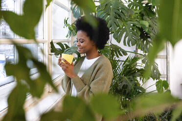 Smiling woman looking in coffee cup by green plants at home - VPIF05321