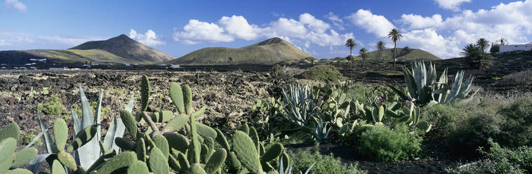 Blick über die vulkanische Landschaft des Parque Natural de Los Volcanes, La Geria, Lanzarote, Kanarische Inseln, Spanien, Atlantik, Europa - RHPLF21178