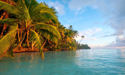 Sonnenaufgang, Scout Park Beach, Cocos (Keeling) Inseln, Indischer Ozean, Asien - RHPLF21181