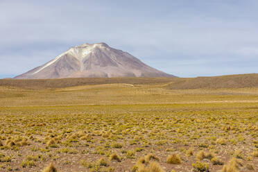 View of the altiplano near Canapa Lake (Laguna Canapa), Potosi Department, southwestern Bolivia, South America - RHPLF21207