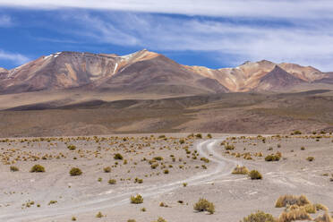 Blick auf das Altiplano in der Nähe des Canapa-Sees (Laguna Canapa), Departement Potosi, Südwest-Bolivien, Südamerika - RHPLF21208