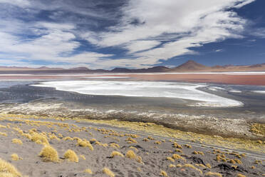 Ein endorheischer Salzsee im Altiplano, Nationalreservat der Andenfauna Eduardo Avaroa, Bolivien, Südamerika - RHPLF21219