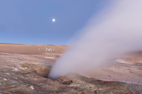 Geysire bei Banos Termales im Nationalen Reservat der Andenfauna Eduardo Avaroa, Departement Potosi, Bolivien, Südamerika - RHPLF21222