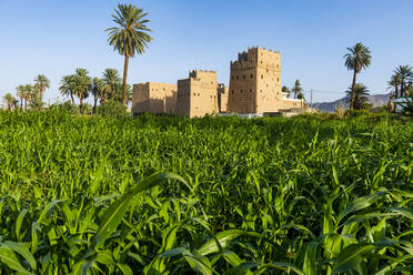 Traditionell gebaute Lehmtürme, die als Wohnhäuser genutzt werden, Najran, Königreich Saudi-Arabien, Naher Osten - RHPLF21329