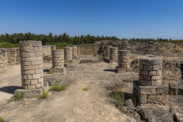 Al-Baleed Archaeological Park, frankincense trade port, UNESCO World Heritage Site, Salalah, Oman, Middle East - RHPLF21366