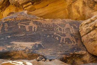 Felskunst in der Ha'il-Region, UNESCO-Welterbestätte, Jubbah, Königreich Saudi-Arabien, Naher Osten - RHPLF21434