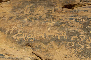 Rock Art in the Ha'il Region, UNESCO World Heritage Site, Jubbah, Kingdom of Saudi Arabia, Middle East - RHPLF21435