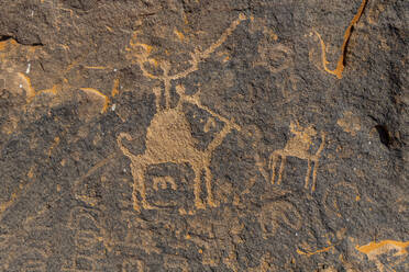 Rock Art in the Ha'il Region, UNESCO World Heritage Site, Jubbah, Kingdom of Saudi Arabia, Middle East - RHPLF21440