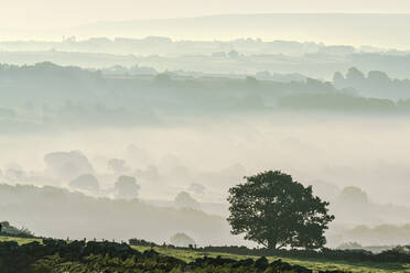 Early morning mist in the Esk Valley around Lealholm in the North Yorkshire Moors National Park, Yorkshire, England, United Kingdom, Europe - RHPLF21578