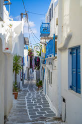 View of narrow street, Mykonos Town, Mykonos, Cyclades Islands, Greek Islands, Aegean Sea, Greece, Europe - RHPLF21602