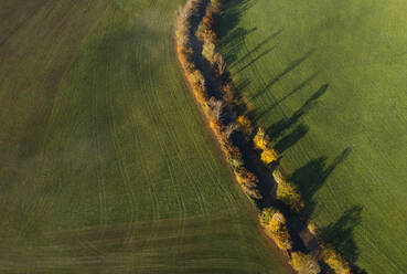 Drone Blick auf Landschaft Feld und baumgesäumten Fluss im Herbst Morgen - WWF06080