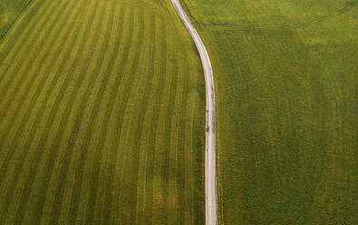 Drone view of countryside dirt road stretching between green mowed fields - WWF06081