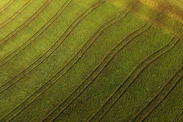 Drone view of green mowed field - WWF06083