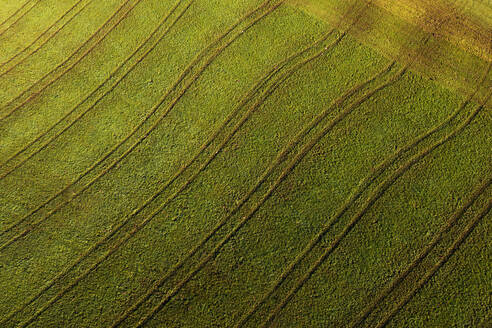 Drohnenansicht eines grün gemähten Feldes - WWF06083