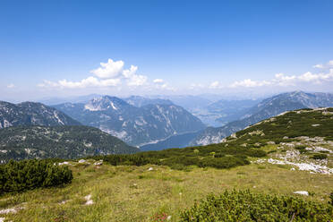 Gipfel des Krippensteins im Sommer mit dem Hallstätter See im Hintergrund - EGBF00722