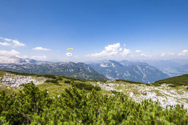 Gipfel des Krippensteins im Sommer mit Gleitschirm im Hintergrund - EGBF00723