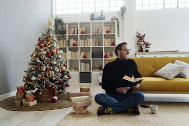 Mann mit Buch unter dem Weihnachtsbaum zu Hause - GIOF14865