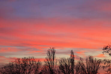 Stimmungsvoller Himmel über Silhouetten von kahlen Bäumen in der Winterdämmerung - JTF01975