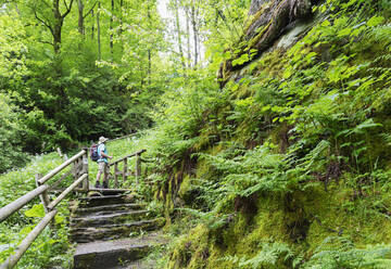 Älterer Wanderer auf Stufen im Wald stehend - GWF07304