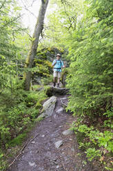 Senior man standing on rock in forest - GWF07306