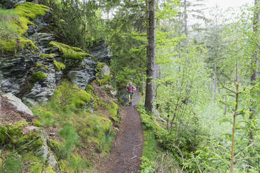 Hiker walking on trail in forest - GWF07307