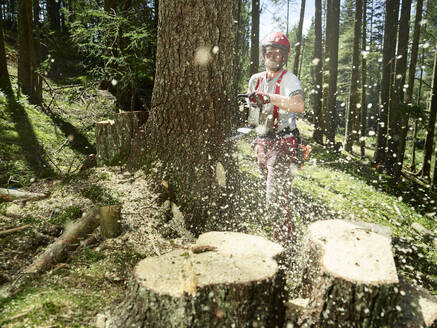 Holzfäller beim Fällen eines Baumes mit einer elektrischen Säge im Wald - CVF01912