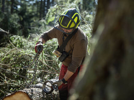 Holzfäller, der eine Kette an einen Baum im Wald bindet - CVF01915