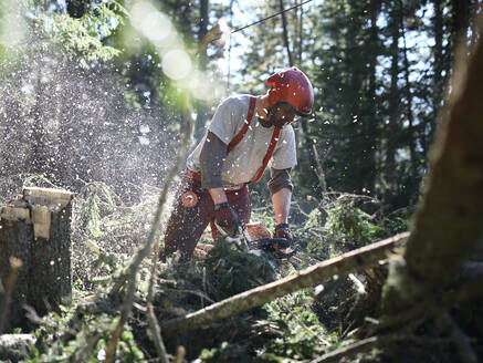 Junger Holzfäller beim Fällen eines Baumes mit einer elektrischen Säge im Wald - CVF01916