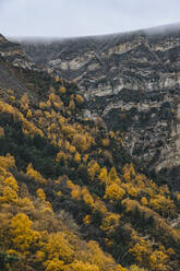 Russia, Dagestan, Forested mountain ridge in autumn - KNTF06563