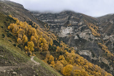 Russland, Dagestan, Bewaldeter Bergkamm im Herbst - KNTF06565