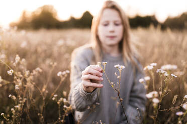 Mädchen zupft Blume auf Feld bei Sonnenuntergang - ANF00003