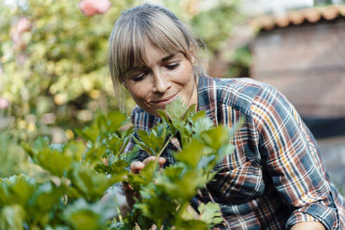 Woman with bangs examining plants in garden - JOSEF07123