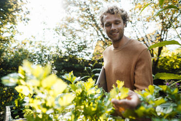 Smiling young man examining plants in garden - JOSEF07142