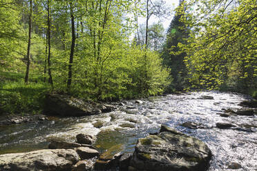 Die Rur fließt durch Felsen an einem sonnigen Tag im Naturpark Eifel, Region Monschau, Deutschland - GWF07332