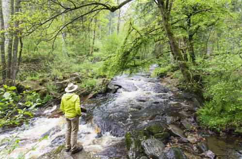 Älterer Mann steht auf einem Felsen und schaut auf die Rur, Naturpark Eifel, Monschau, Deutschland - GWF07335