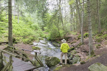 Älterer Mann steht an einem Steg und schaut auf die Rur im Naturpark Eifel, Monschau, Deutschland - GWF07338