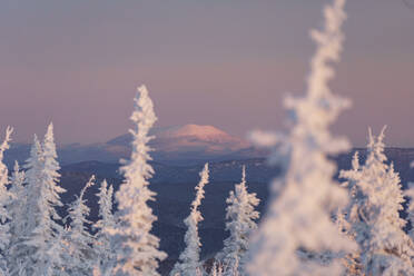 Schneebedeckte Bäume mit Bergen und Himmel im Hintergrund bei Sonnenaufgang, Sheregesh, Russland - OMIF00624
