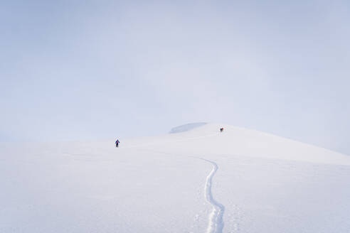Wanderer wandern auf einem schneebedeckten Berg in Sheregesh, Russland - OMIF00629
