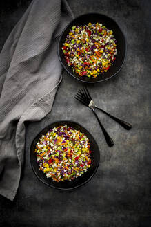 Studio shot of two bowls of colorful vegan salad - LVF09205