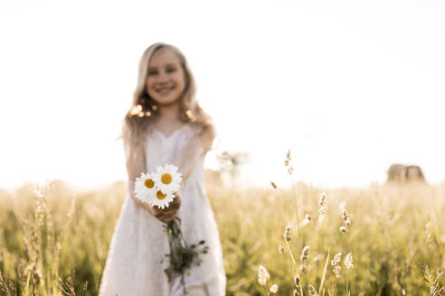 Mädchen hält weißes Gänseblümchen im Feld - ANF00018
